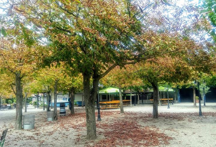 Bayerischer Biergarten